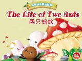 5、两只蚂蚁（中英文）