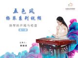 扬琴的开箱与检查【五色风扬琴系列视频】