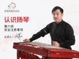 安全注意事项 认识扬琴 第六讲【五色风扬琴系列视频】