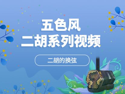 二胡的换弦 二胡基础【五色风二胡系列视频】