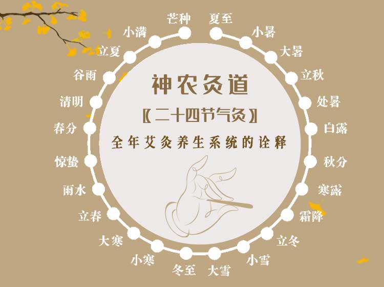 神农灸道【二十四节气灸】全年艾灸养生系统的诠释