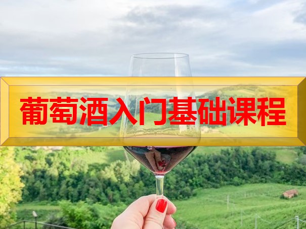 葡萄酒入门基础课程，45节课仅需99元