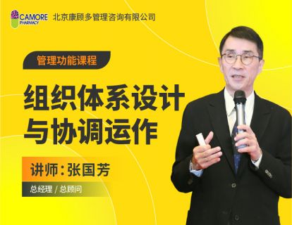组织体系设计与协调运作