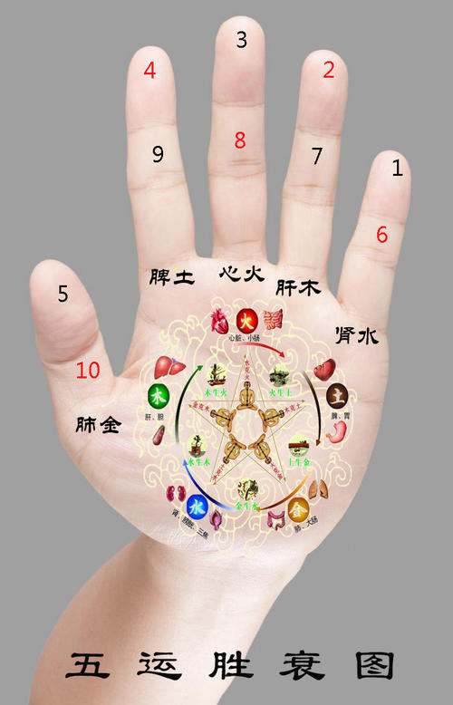 零基础学《五运六气》万有定数，预测未来病