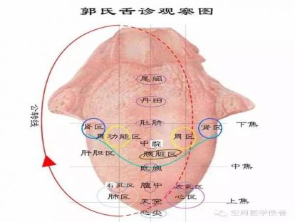 11观舌给药