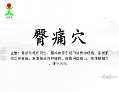8【臀痛穴】屁股痛是痛在哪里？到底是肉痛，还是骨头痛，还是筋痛