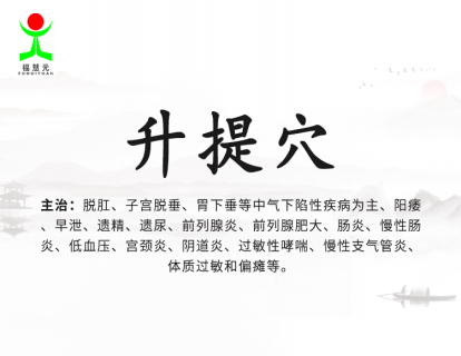 18【升提穴】专治脱肛、子宫脱垂、胃下垂等中气下陷性疾病