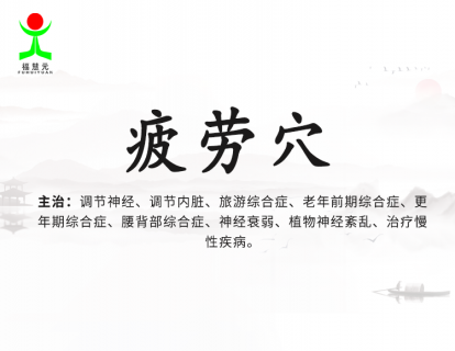 29【疲劳穴】中老年人的又一大保健穴，老年人有福了
