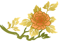 脐诊脐针