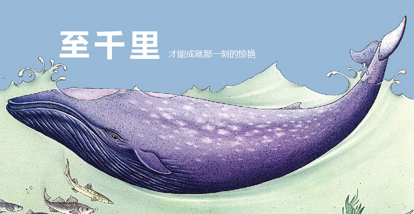 天正建筑精品课程