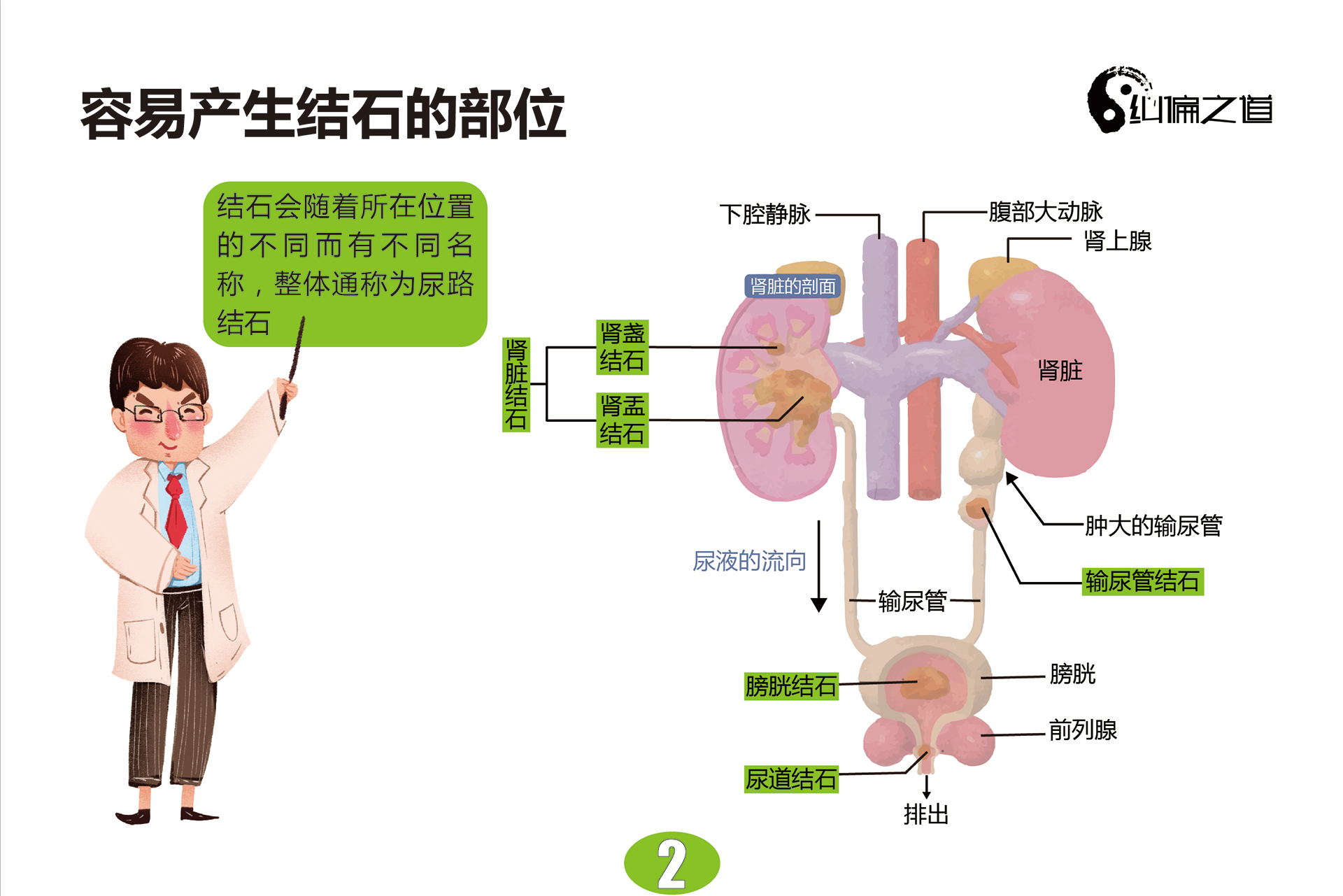 《痛风全攻略》痛风原来如此简单！