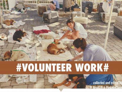 L17机经课#Apply for a Volunteer Job#