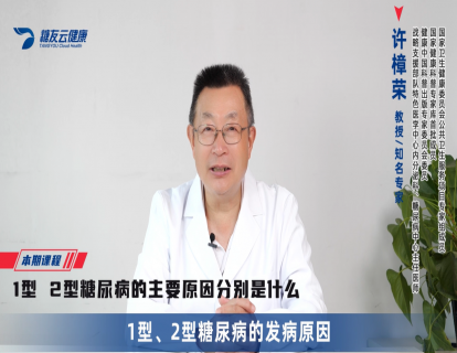 1-一型二型糖尿病的主要原因分别是什么.mp4
