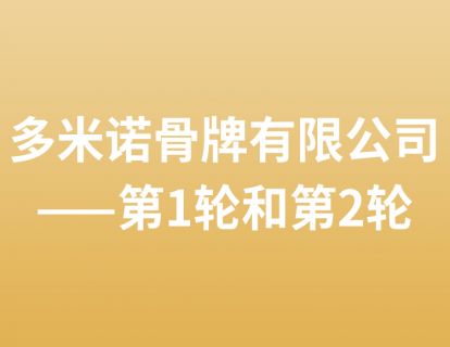 14. 多米诺骨牌有限公司——第1轮和第2轮