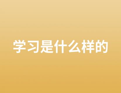 5. 学习是什么样的