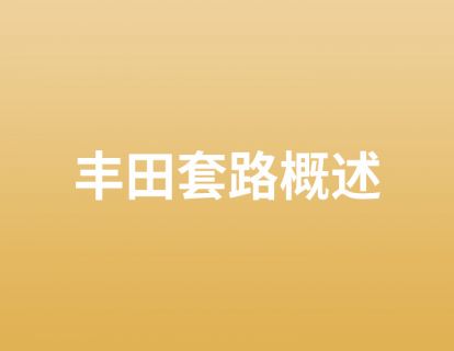 1. 丰田套路概述