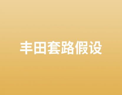 12. 丰田套路假设