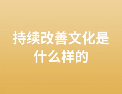 6. 持续改善文化是什么样的