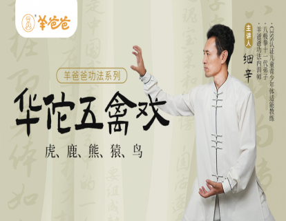 3.1 华佗五禽戏带练