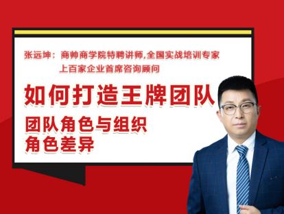 张远坤：第十二讲团队角色与组织角色差异