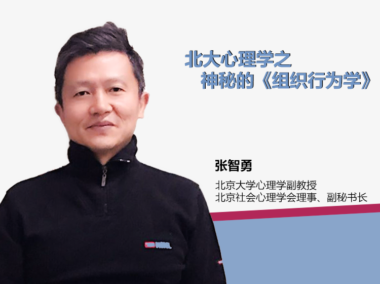 张智勇教授的北大心理学之《组织行为学》