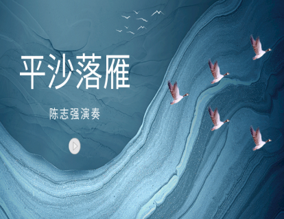 《平沙落雁》——陈志强演奏