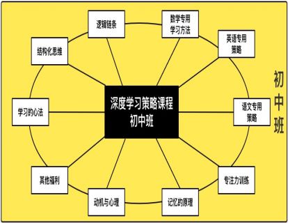 逻辑链条（初中班）