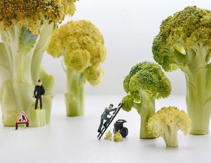 精神分析培训-杨凤池