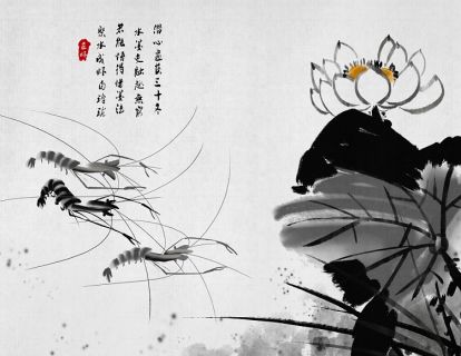 15*小虾