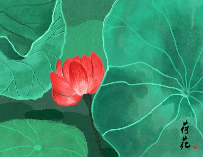 3荷花