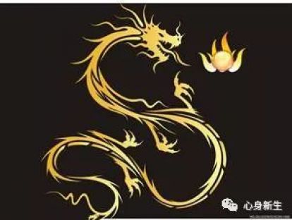 回春功教学十二式之二《龙游式》