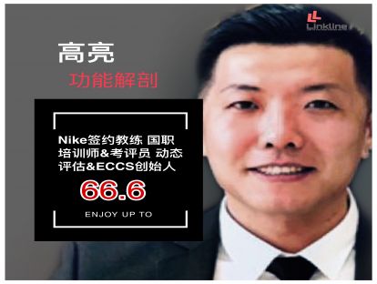 功能解剖