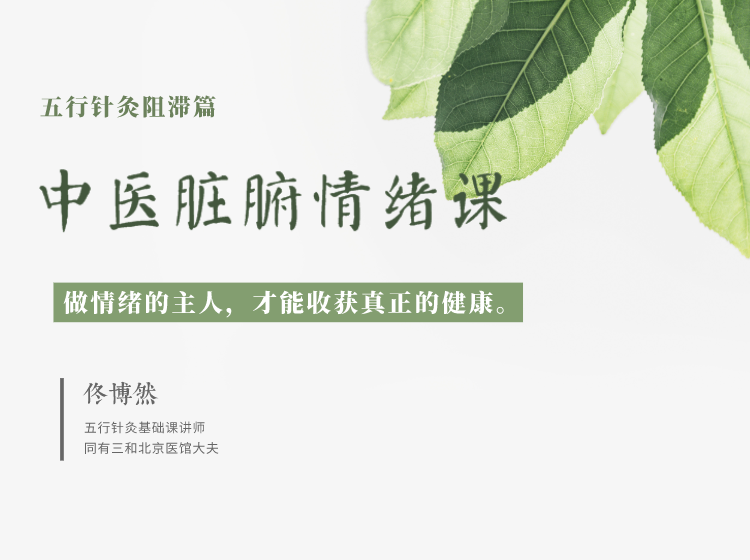 中医脏腑情绪课