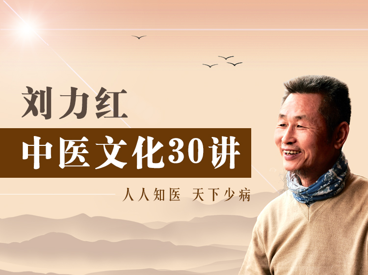 刘力红中医文化30讲