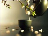 中华传统文化的基本内涵