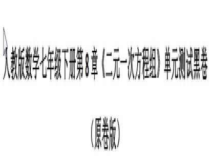 人教初一下：二元一次方程组单元测试黑卷