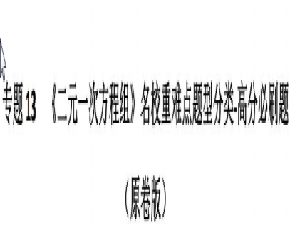 人教初一下：二元一次方程组重难点