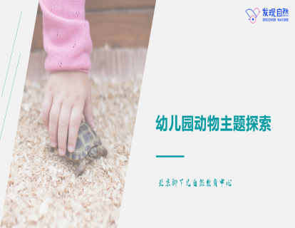 第八讲 如何开展动物主题的活动