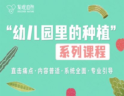 “幼儿园里的种植”系列课程