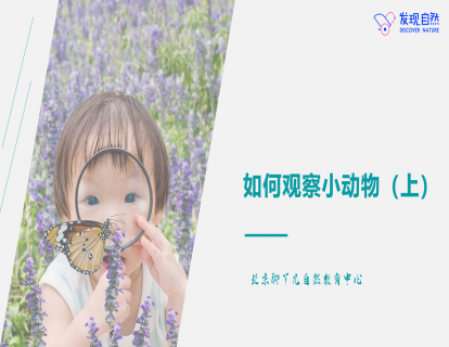 第四讲 如何观察小动物（上）