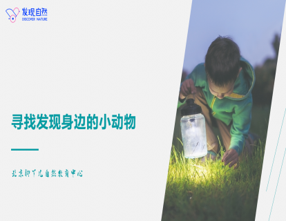 第三讲 如何发现身边小动物