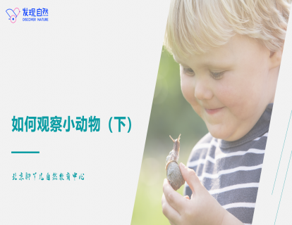 第五讲 如何观察小动物（下）
