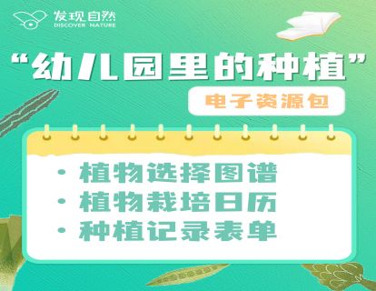 “幼儿园里的种植”电子资源包