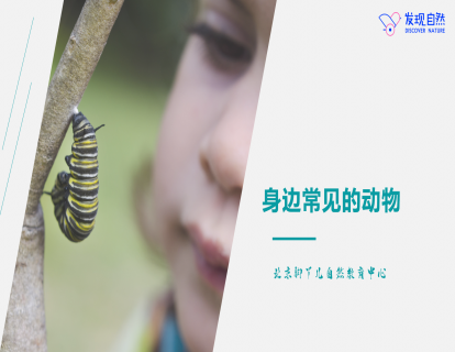 第二讲 身边常见的动物