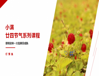 24节气自然体验活动之“小满未满”-程怀锦老师
