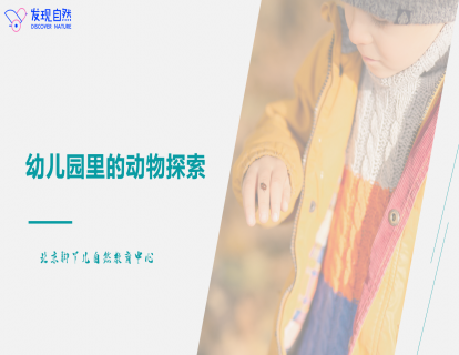 第一讲 幼儿园里的“动物探索”