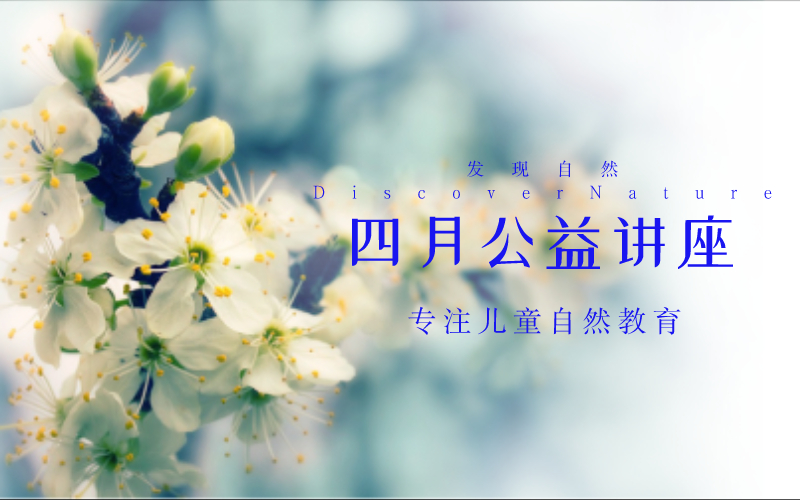四月专栏讲座