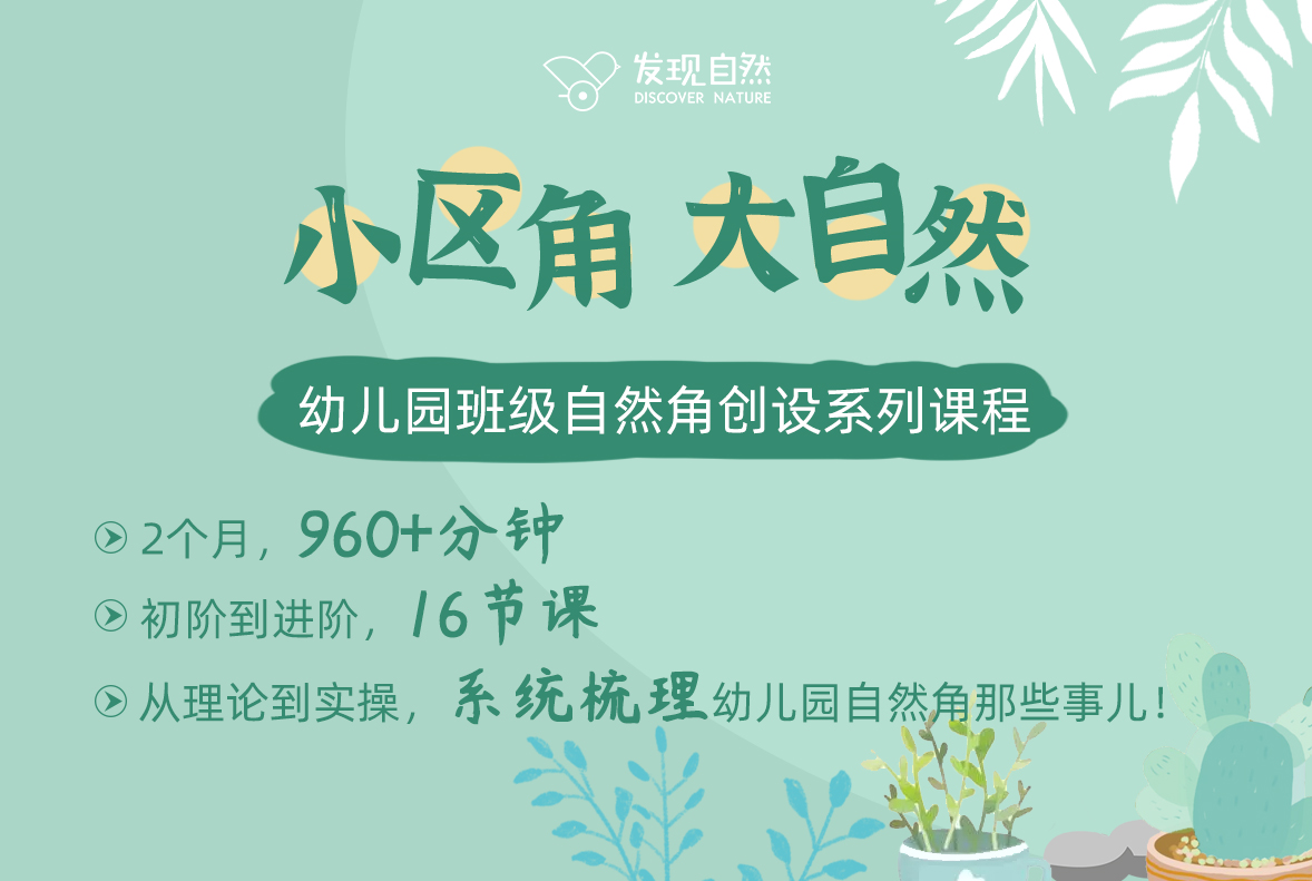 自然区角创设系列课程——初阶课程