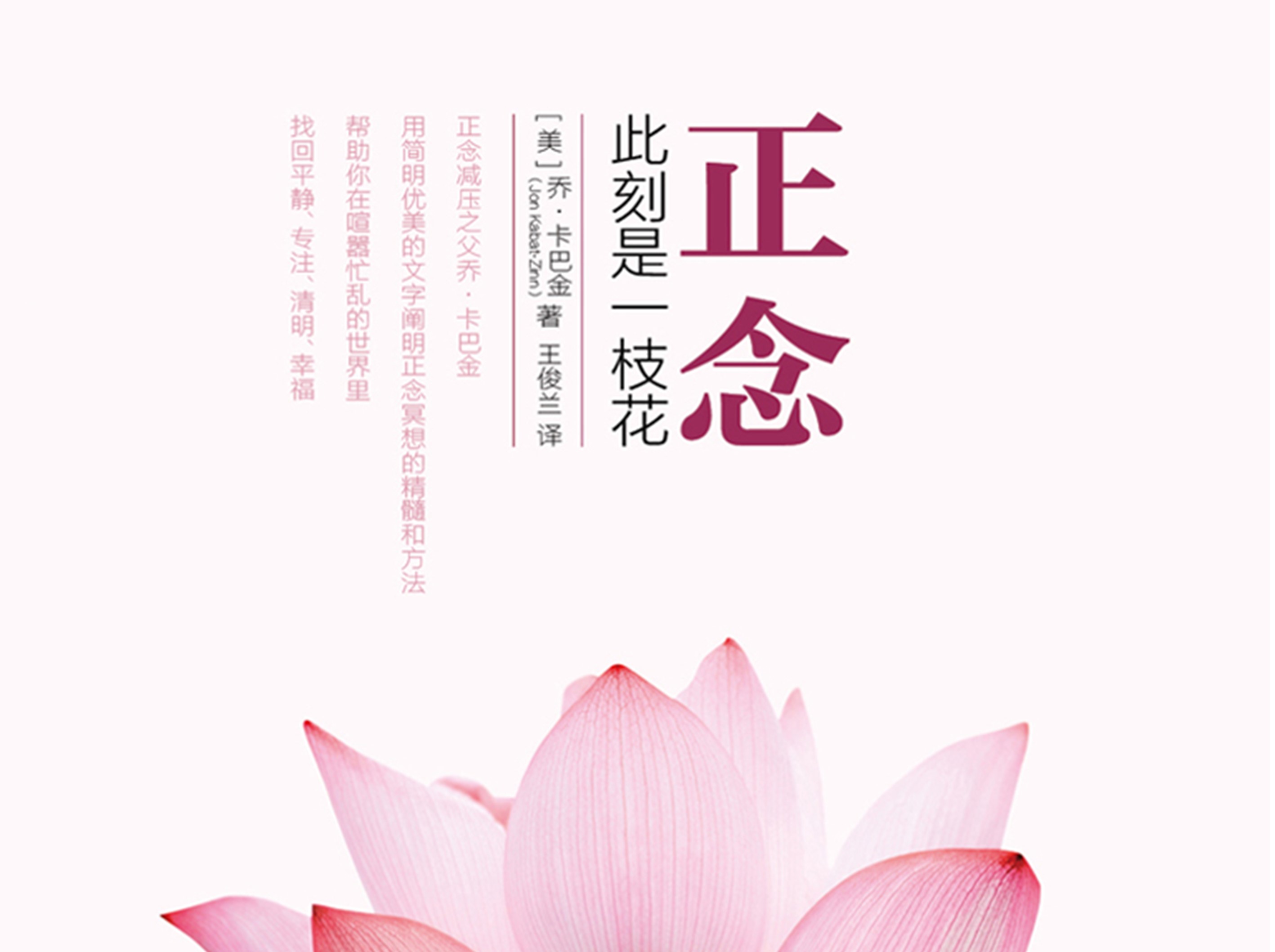 《正念此刻一枝花》精读分享