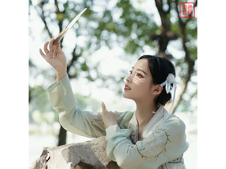 中国古典舞网红歌曲《浪人琵琶》教学全集